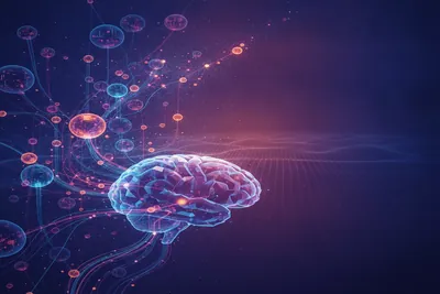 Neurális hálózat: mi az és hogyan tanul? Egyszerű magyarázat